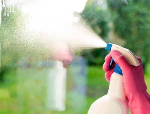 5 Steps for Clean Window Screens